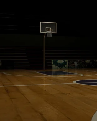 Connecticut Sun vs. Los Angeles Sparks