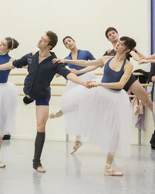 Swan Lake: Symphony of Lights