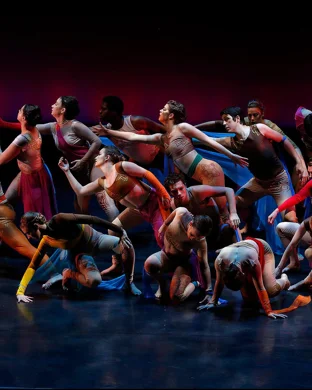 Pilobolus